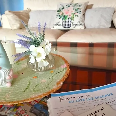 Les Oiseaux_a Avec Piscine Chauffee *